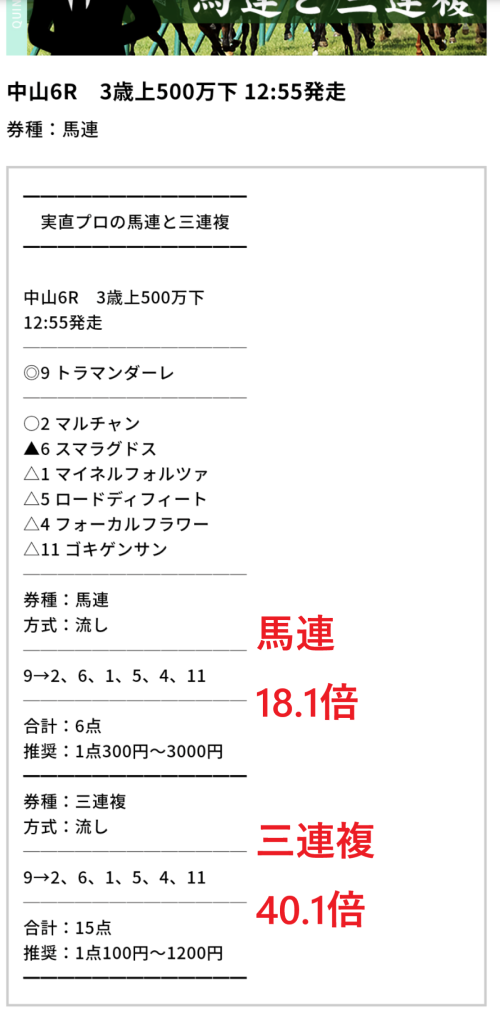 【スプリングステークス＆阪神大賞典2023予想】フラワーC馬連4,980円的中！